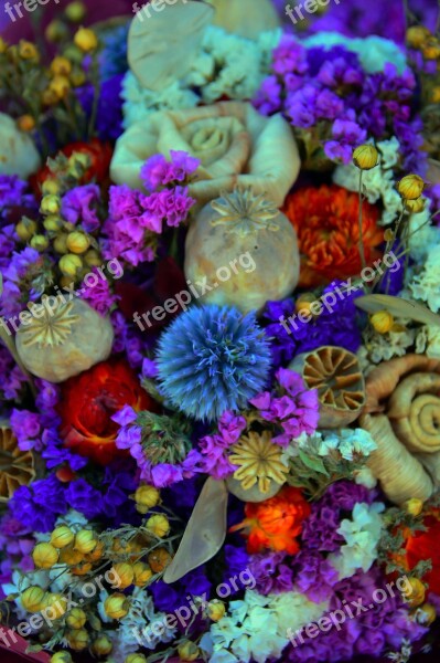 Dried Flower Color Wreath Decoration Mood