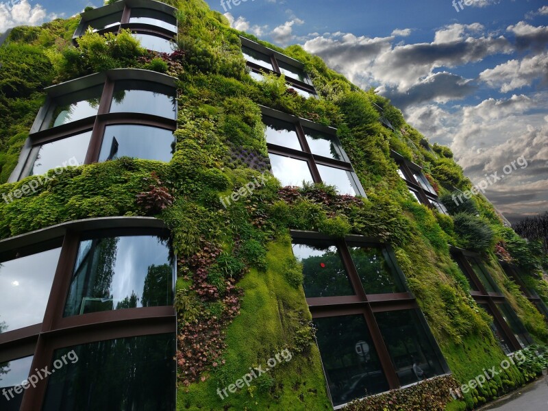 Paris Wall Vegetal Wall Plants Building