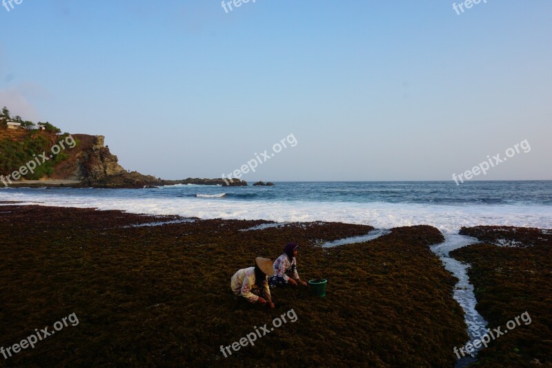 Beach Sea Water Beachfront The Natural Scenery The Sea