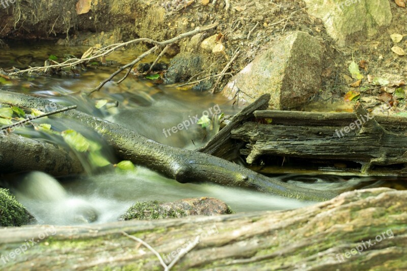 Fluent Bach Nature Waters Forest