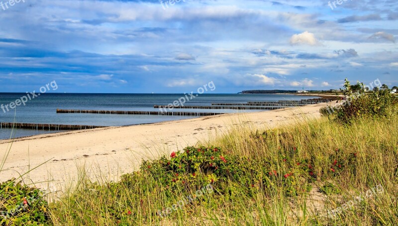 Baltic Sea Coast Sea Beach Water