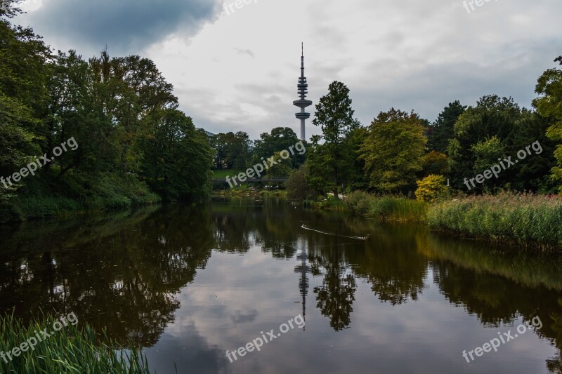 Park Hamburg Walk In The Park Tree Pond