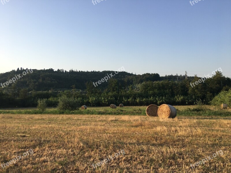 Hay Bale Landscape Free Photos