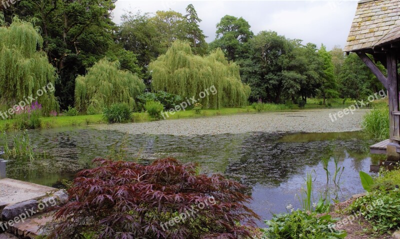 Wales Gardens Lake Green Plankton