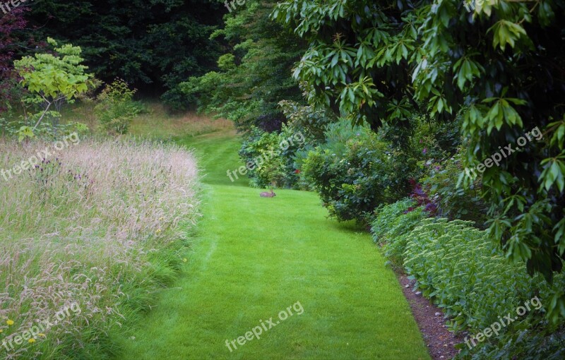 Rabbit Green Path Path Gardens Wales