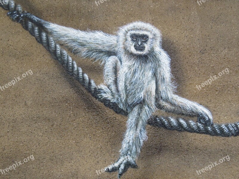 Monkey Wall Art Wall Zoo Berlin