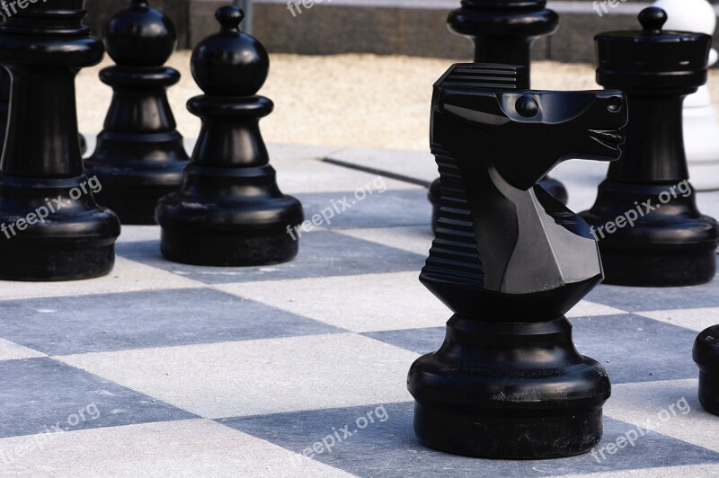 Chess Knight Black Pieces Game