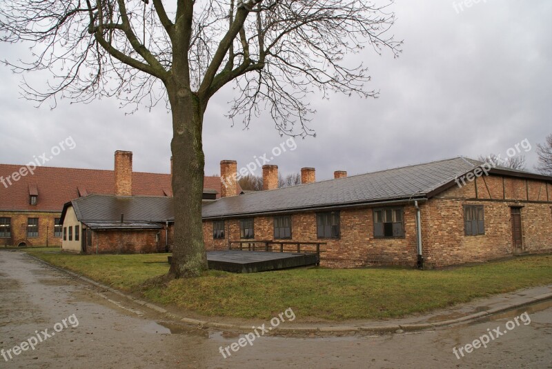 Auschwitz Concentration Camp Second World War War Auschwitz-birkenau