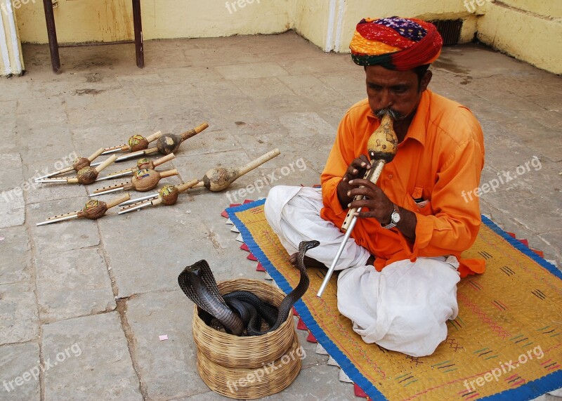 Snake Charmer Jaipur Amer Fort Jaipur Tour Travels Jaipur Tour Free Photos