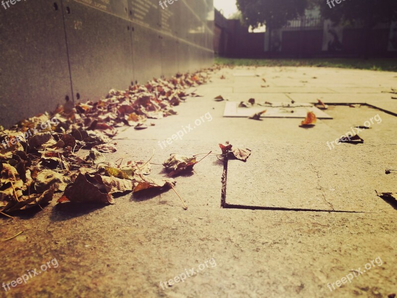 Autumn Foliage Past Warsaw Uprising Museum The Memory Wall