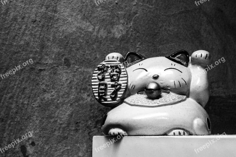 Japanese Cat Neko Japan Animal