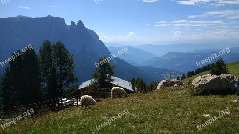 Vacations South Tyrol Mountains Nature Landscape