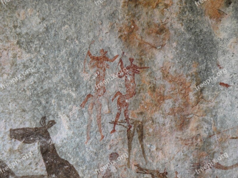 Rock Art Bushman Africa Ancient Culture