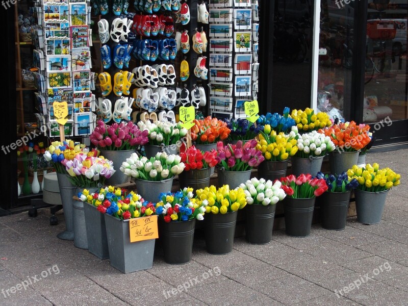 Flowers Street Plant Flower Stall Free Photos