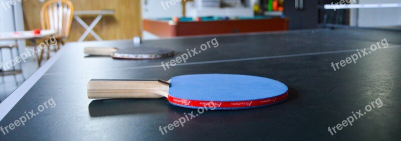 Blue Ping Pong Paddle Paddle Ping Pong Table Free Photos