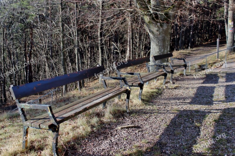 Benches Shadow Park Rest Out