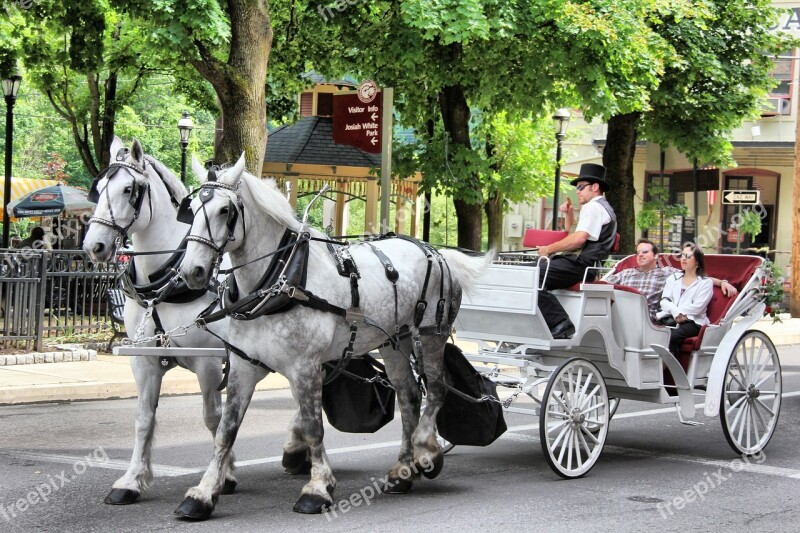 Horse Carriage Transportation Animal Travel