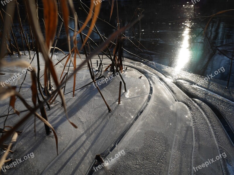 Ice Pond Winter Frozen Frozen Pond