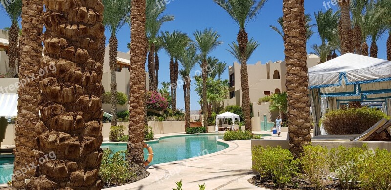 Hotel Swimming Pool Summer Parasols Palace