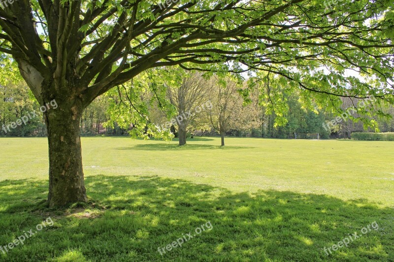 Tree Park Theme Park Meadow Promenade