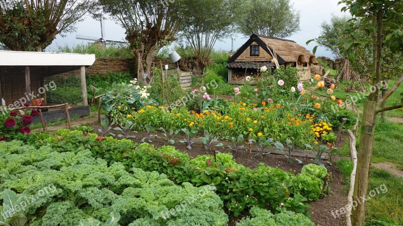 Riethuis Reed Garden Vegetable Growing