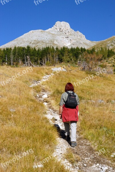 Trekking Hiking Mountain Hiker Outdoor