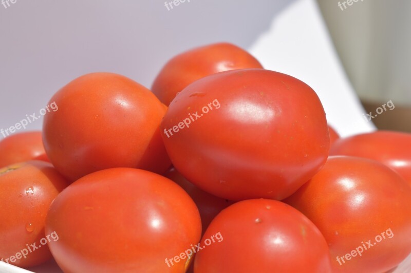 Solanum Lycopersicum Tomatoes Red Fruit Free Photos