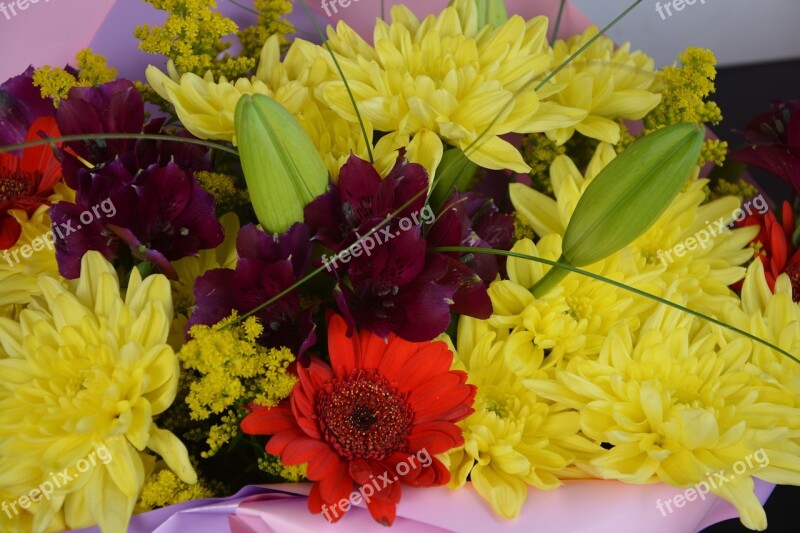 Flowers Bouquet Floral Composition Flowering Florist