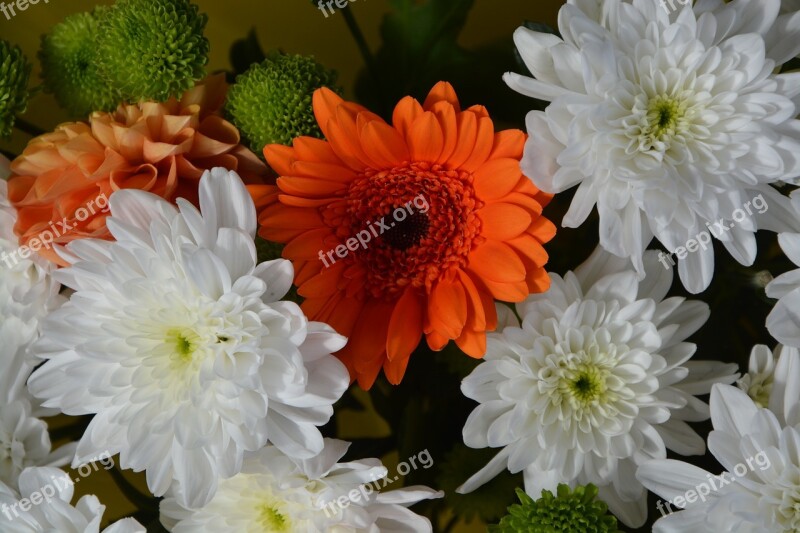 Composition Floral White Flowers Orange Flower Offer Decoration Free Photos