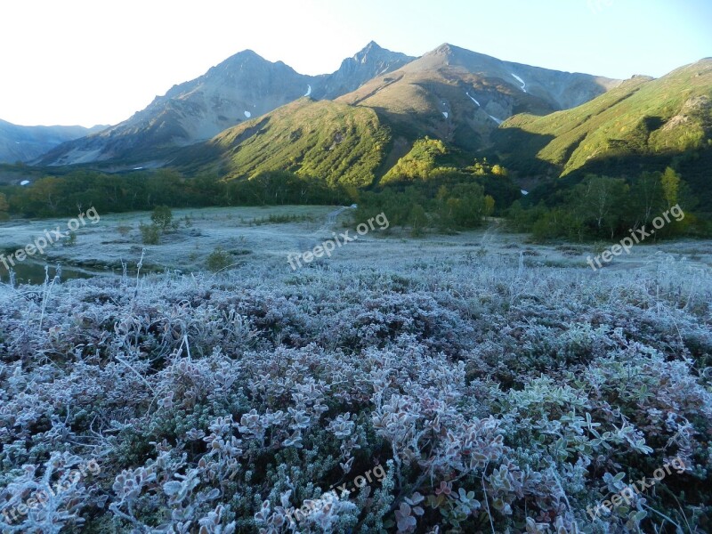 The First Frost Early Autumn Indian Summer Cold Frost