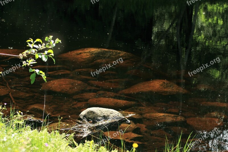 Water A Stones Nature Still