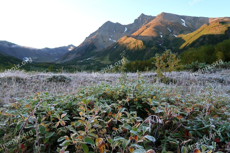 The First Frost Early Autumn Indian Summer Rime Leann