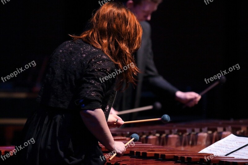 Percussion Marimba Music Musician Concert