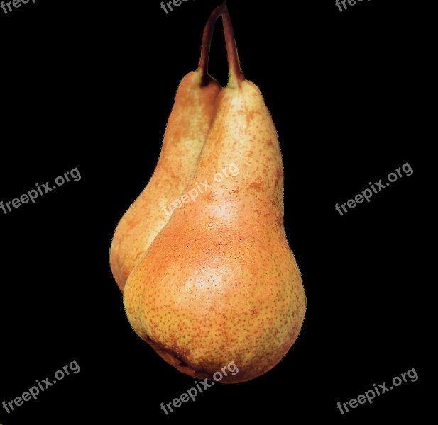 Pears Fruit Fruits Healthy Harvest