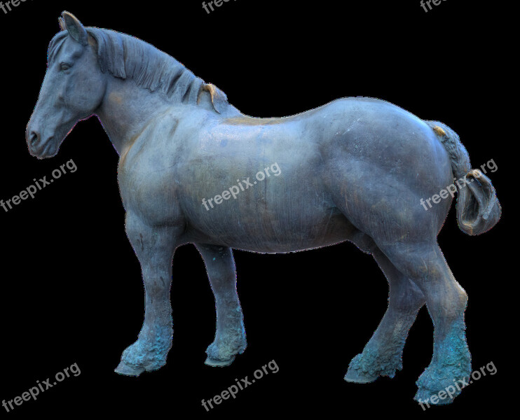 Sculpture Bronze Horse Artwork Art