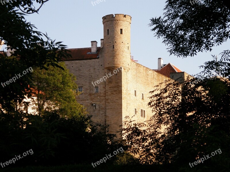 Antiquity Nature Summer History Vintage