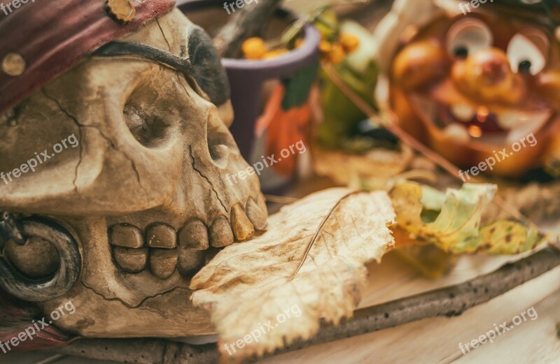 Halloween Leaf Skeleton Schreck Free Photos