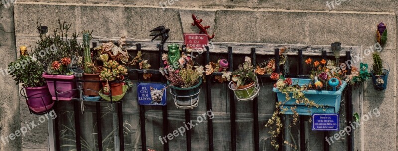 Flowers Window Sill Skuril Barred Vfenster Hausdeko