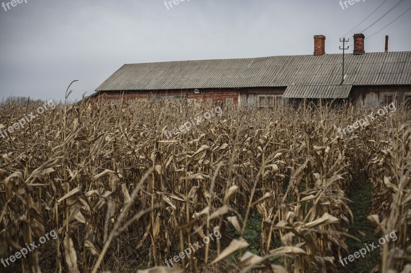 Field House Village Landscape Rural House