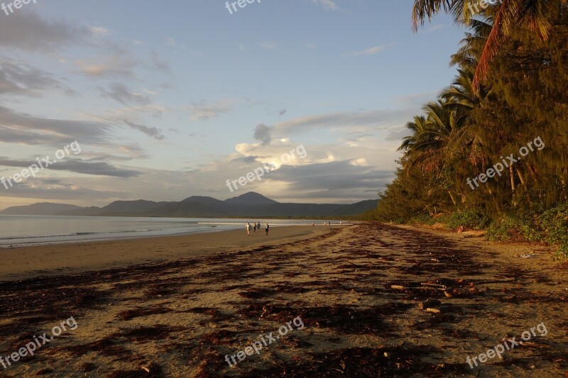 Nature Australia Port Douglas Free Photos