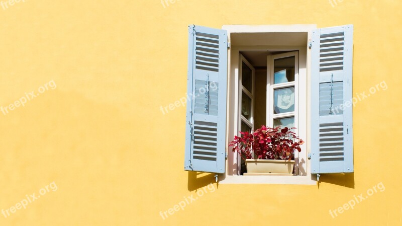 Window Wall Picturesque Pane Flower