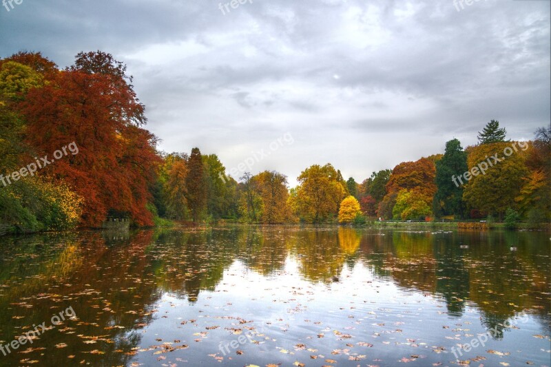 Lake Autumn Tree Landscape Park