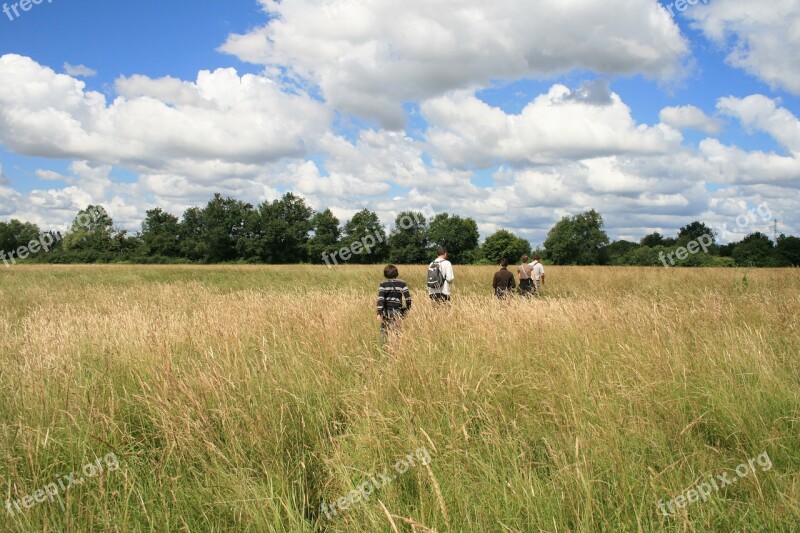 Field Clouds Tall Grass Market Ride