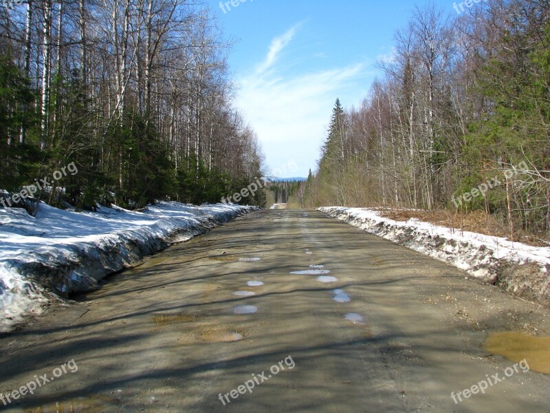 Road Snow Spring Forest Trees