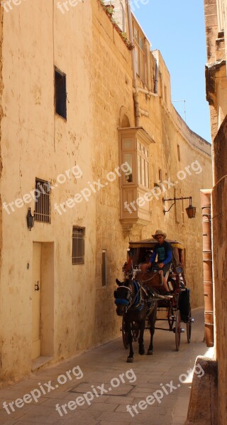 Transport Horse Cart Driver Vintage Tourism