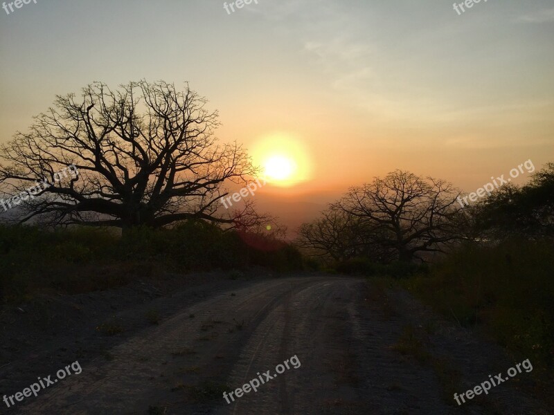 Sunset Setting Sun Cycling Mountain Bike