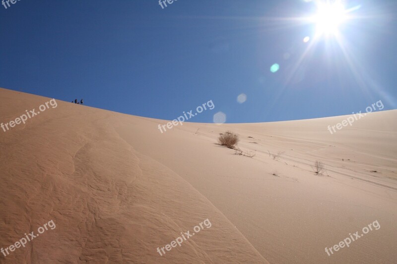 Desert Africa Namib Namibia Sand