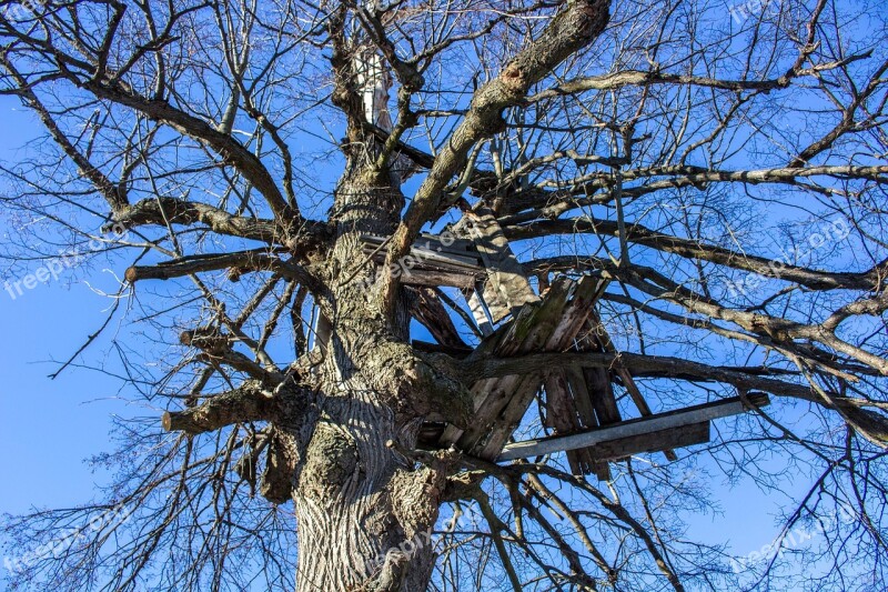 Hut Cottage Tree Game Children's