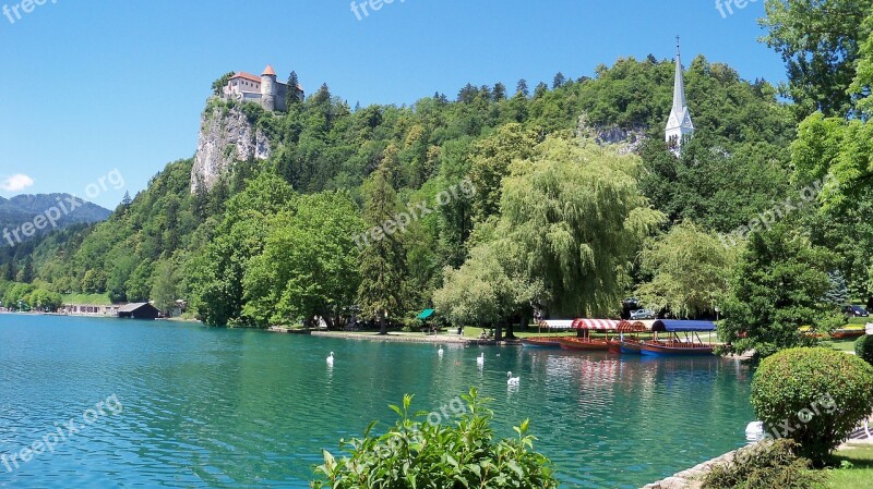 Lake Bled Slovenia Castle Free Photos