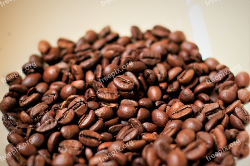 Coffee Beans Co Coffee Bean Coffee Beans